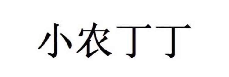 广州小农丁丁科技有限公司