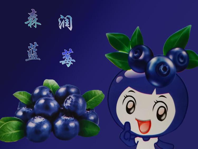 伊春市森润森林食品有限公司