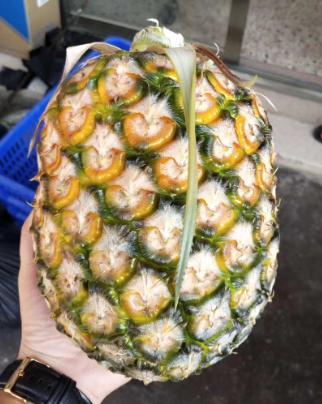 圆墩村高山甜菠萝