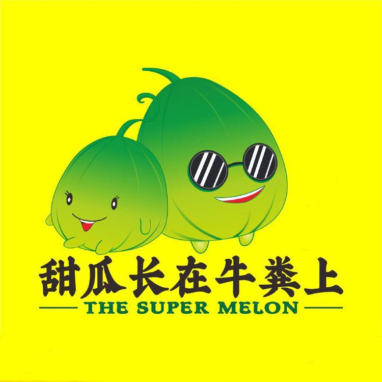 甜瓜长在牛粪上