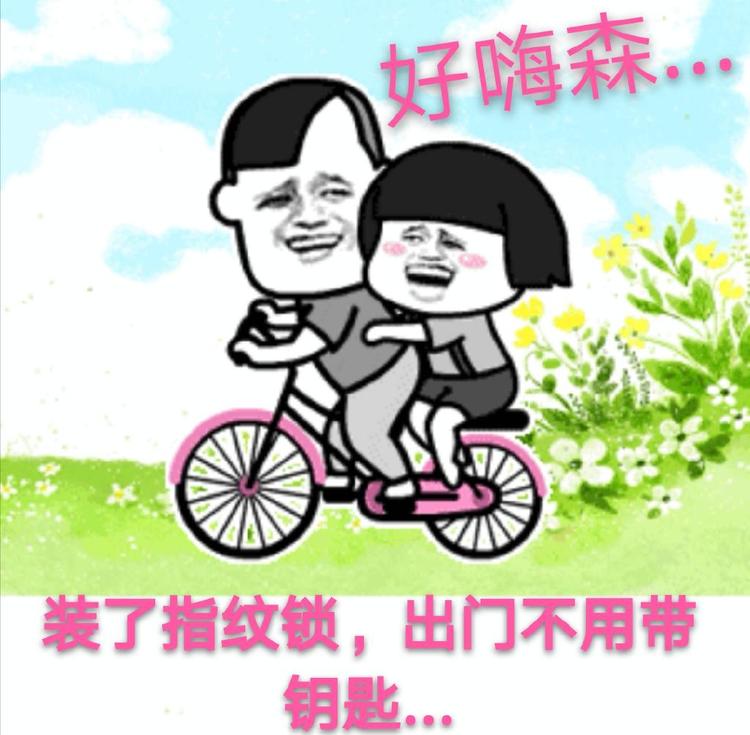 南昌专业净水指纹锁的小店