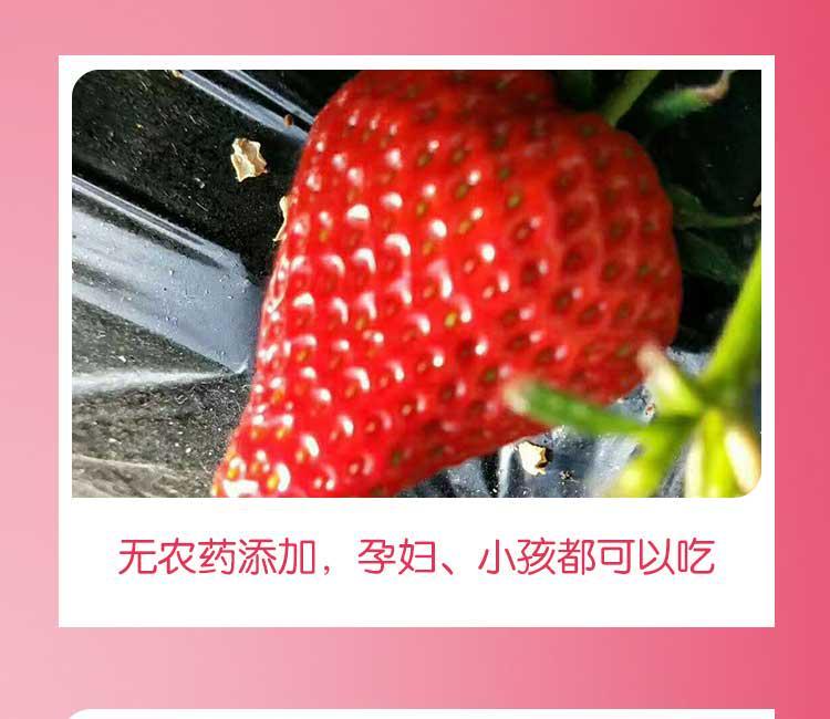 谦美水果基地