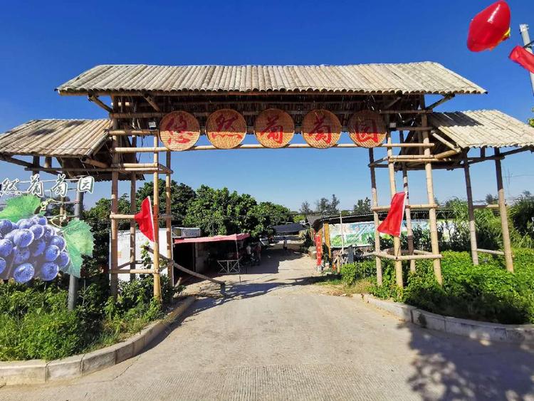 泉港悠然农场