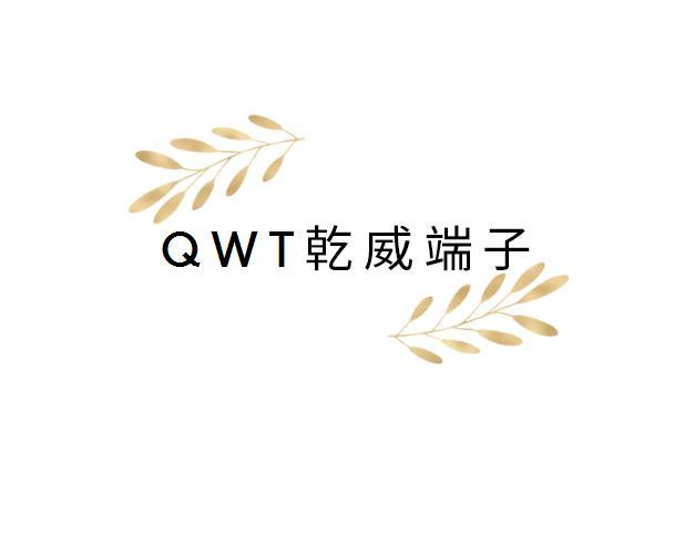 QWT乾威端子
