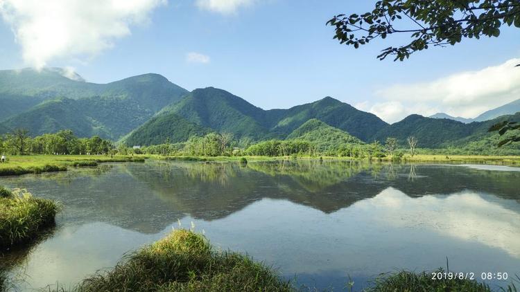 胡杰优选供应链
