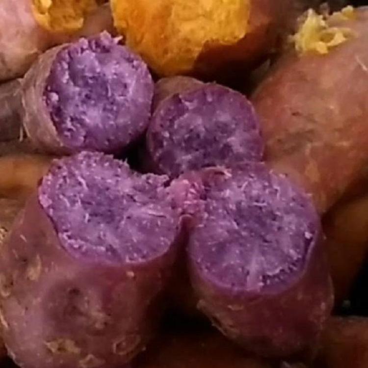 确山县蜜薯妹农产品销售店
