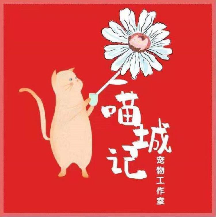 喵城记宠物