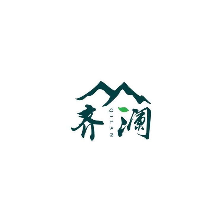 福鼎高山齐澜白茶