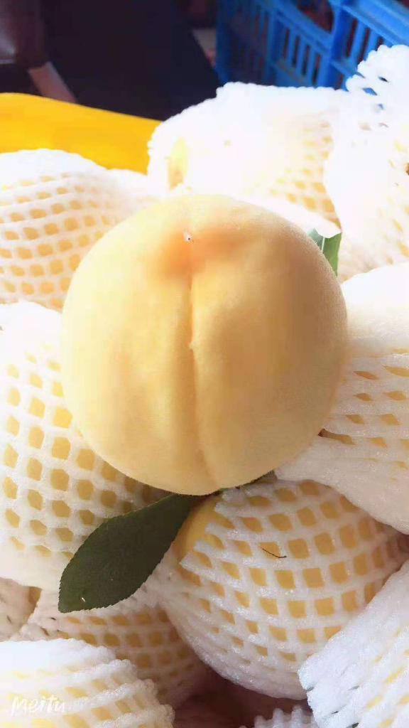 净客