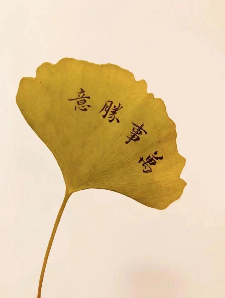 佛山市拓兴纺织贸易有限公司的小店