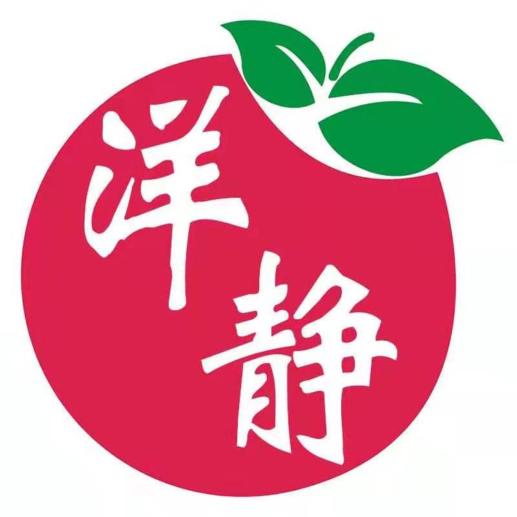 洋静的小店