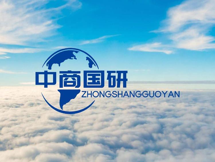 山西中商国研管理咨询有限公司的小店
