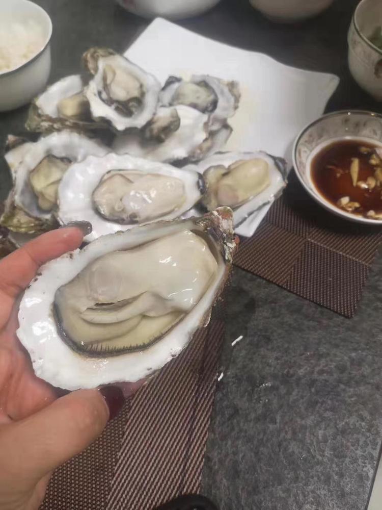 蚝宴圣地