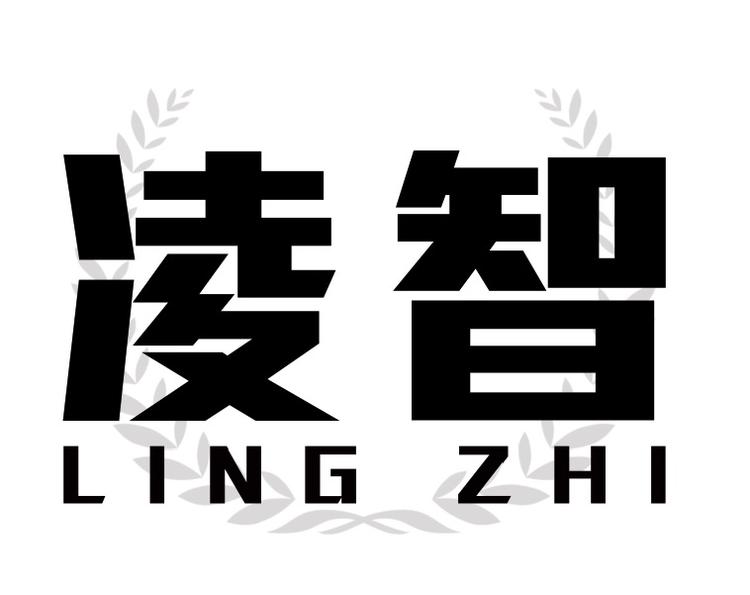 LINGZHI凌智吉安凌智电子商务有限责任公司玩具专卖店