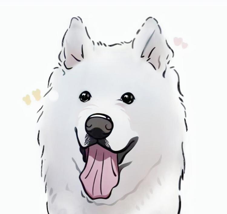 耶耶当家
