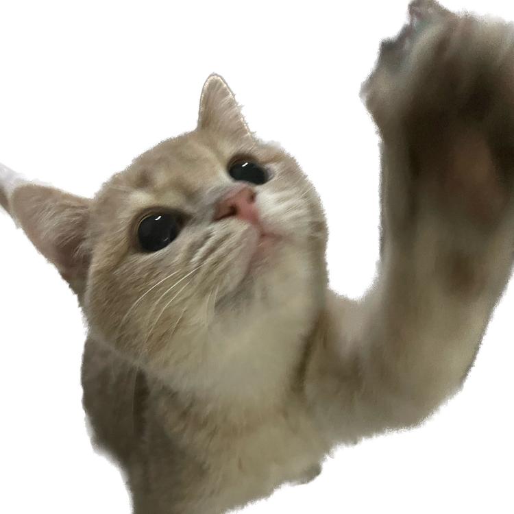 CharaX与七七的手工美甲