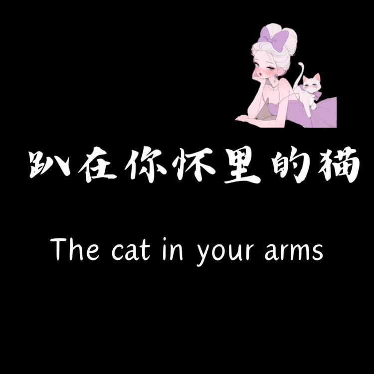 趴在你怀里的猫