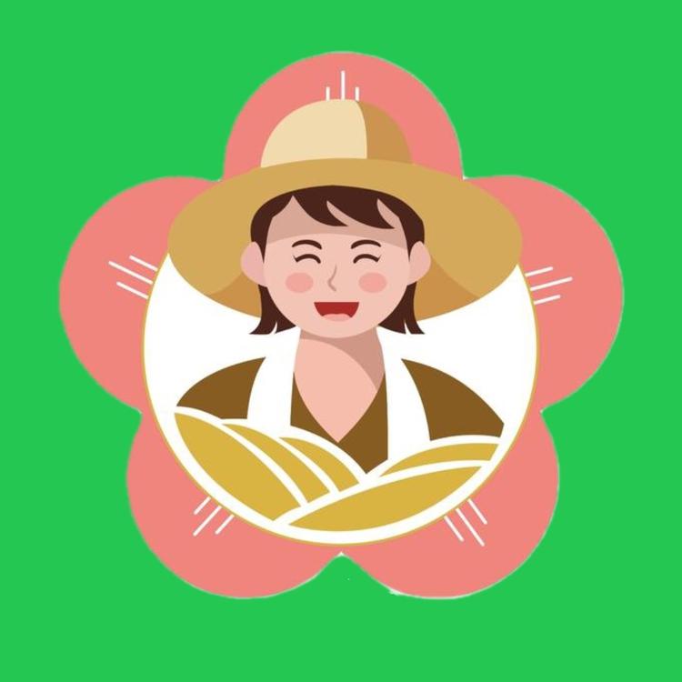 桃花庄农家柴火锅巴