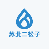 苏北二松子铺子个体店