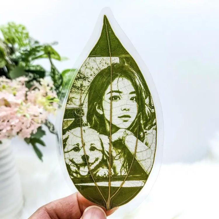 青禾树叶雕刻
