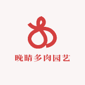 晚晴多肉园艺