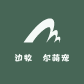福瑞边牧伮尔萌宠