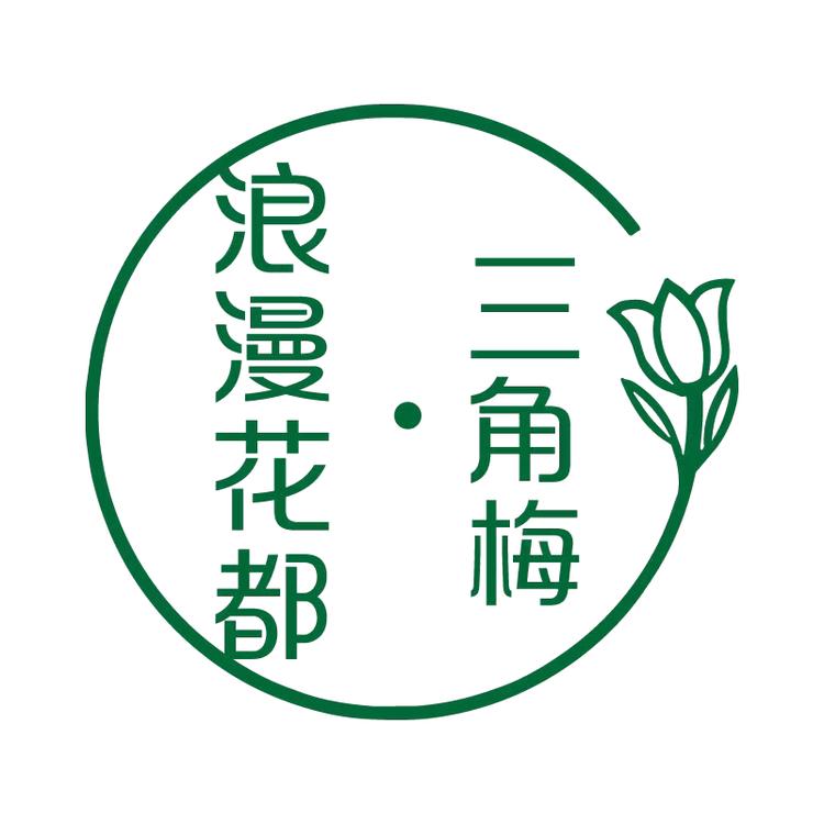 浪漫花都三角梅