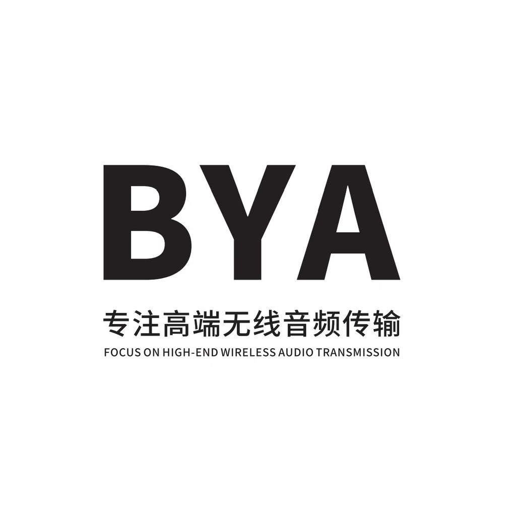 BYA专业无线麦克风