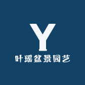 叶瑶盆景园艺