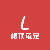 楼顶龟宠