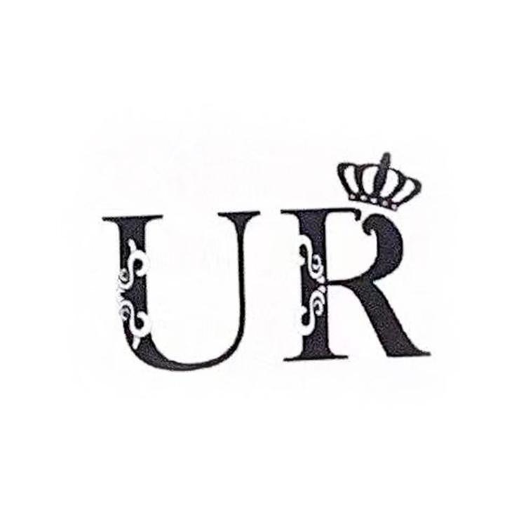 UR皓彤贸易数码专卖店