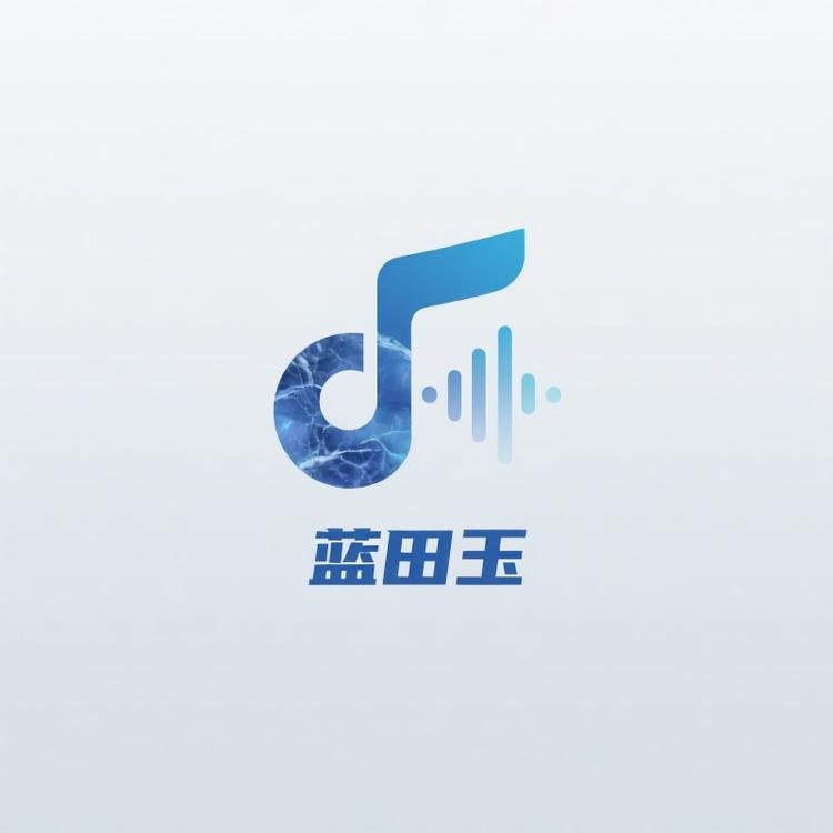 蓝田玉数码影音店