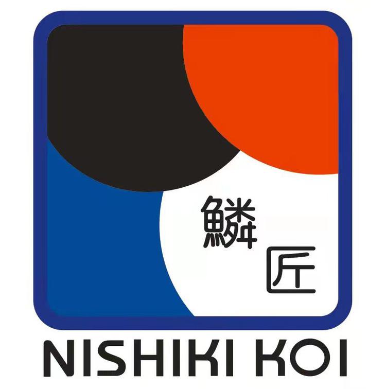 鳞匠锦鲤