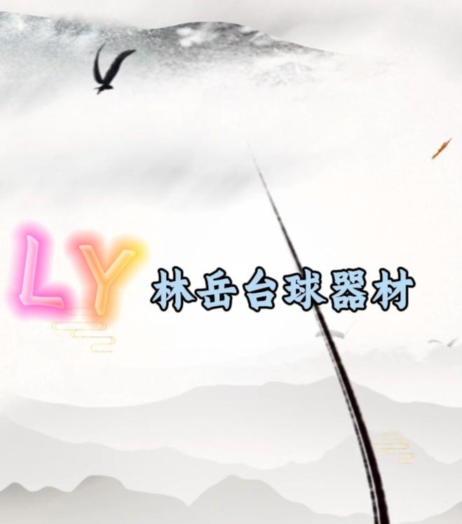 LY林岳台球器材