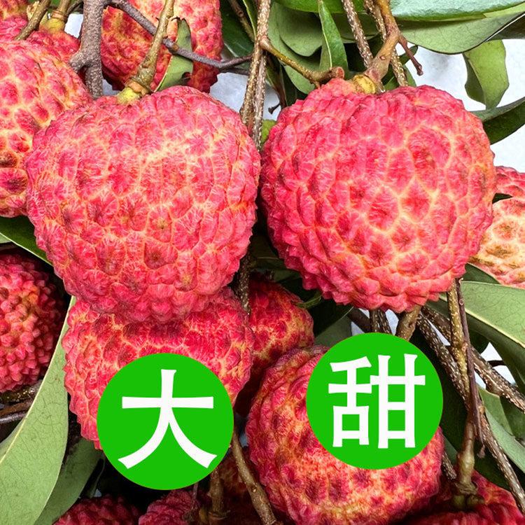 高山荔枝