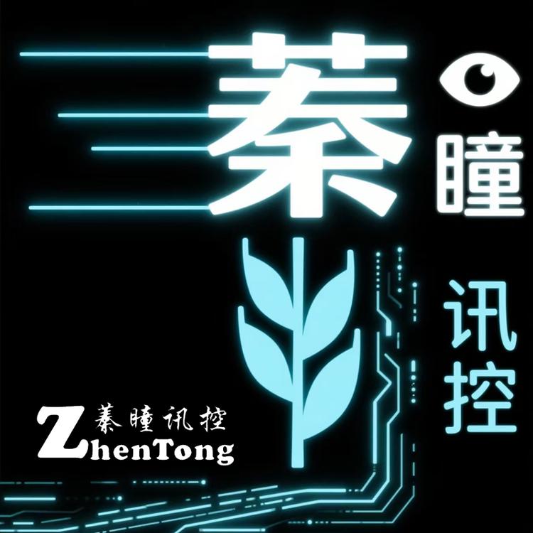 蓁瞳讯控科技