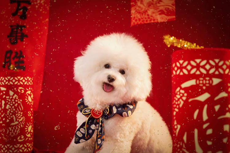 旺狗的优品小铺