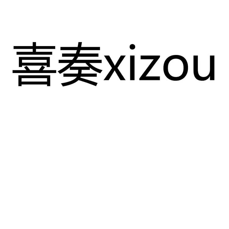 喜奏XIZOU体育旗舰店