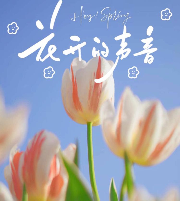 瑞涵甄选