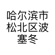 哈尔滨市松北区波塞冬网络技术工作室的小店个体店