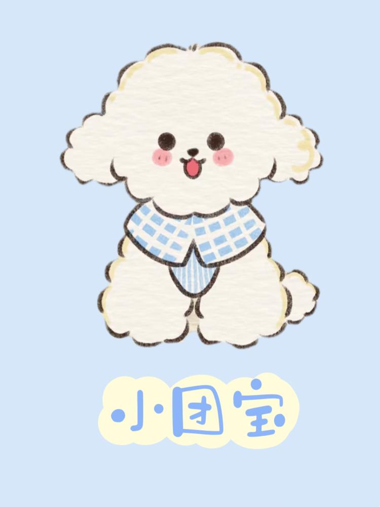 小团宝手工穿戴甲