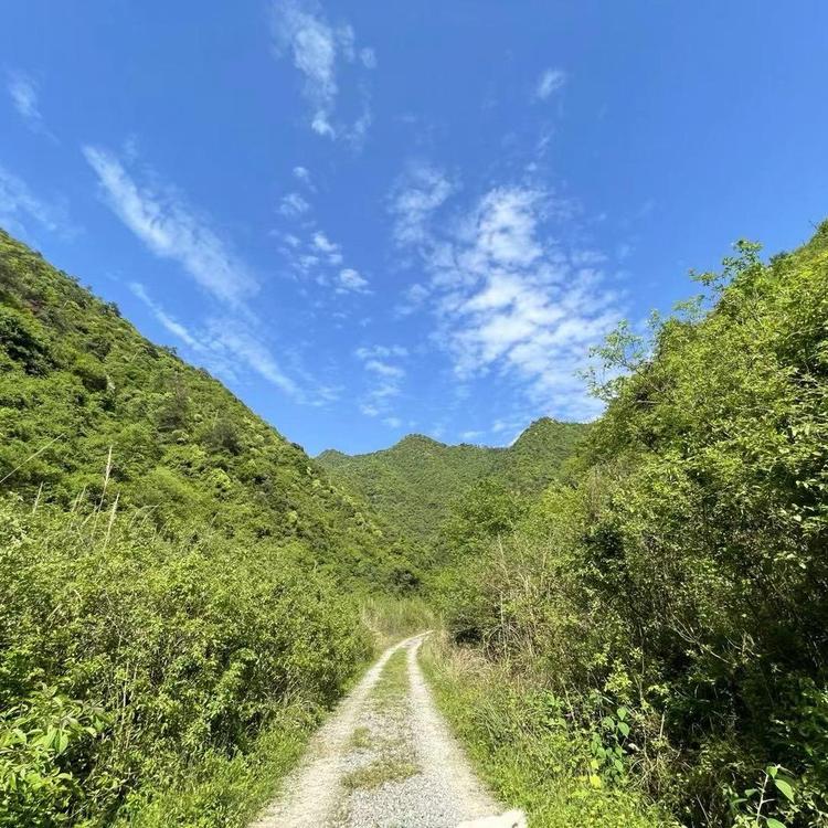 山鬼生态农场