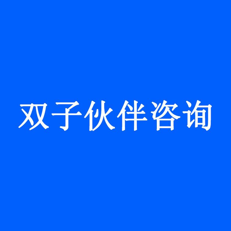 双子伙伴咨询企业店
