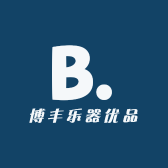 博丰乐器优品