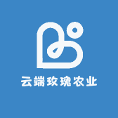 云端玫瑰小雪