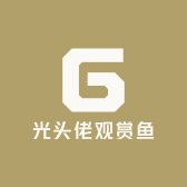 光头佬观赏鱼