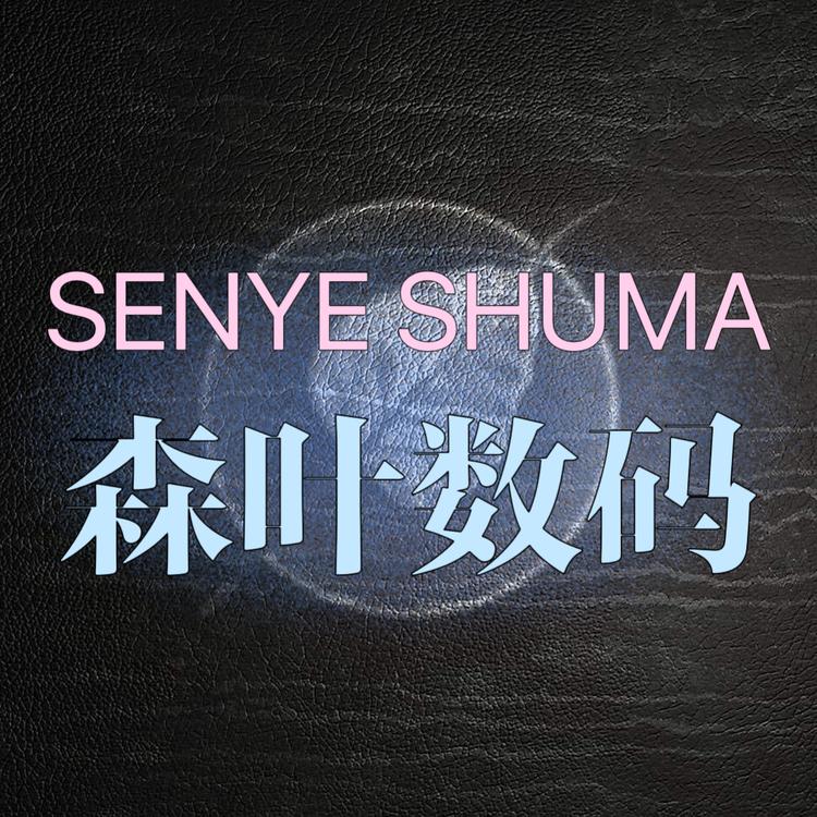 森叶数码
