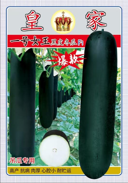 A广西种子种苗批发