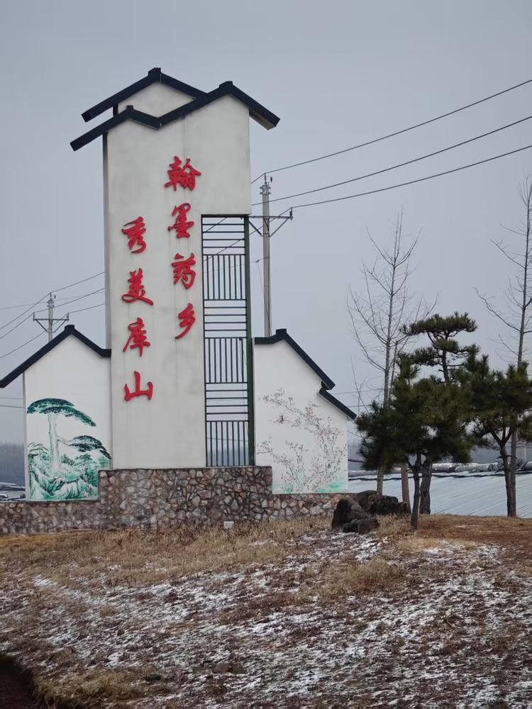 你好丹参