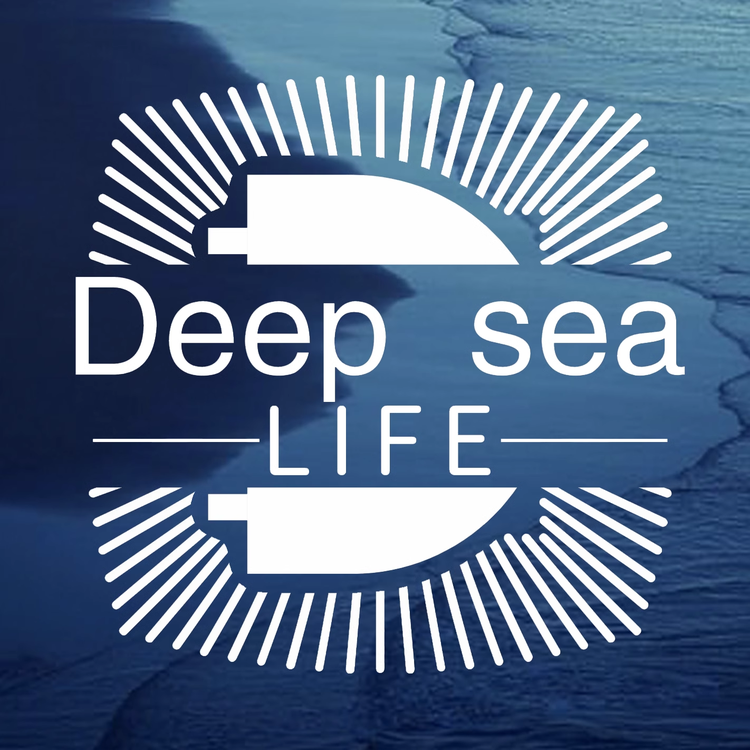 深蓝美学DeepSeaLife